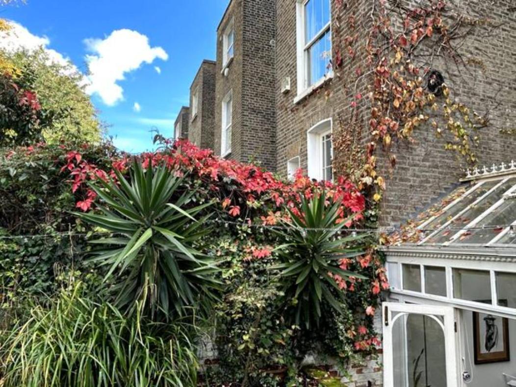 شقة Kensington Secret Gem لندن الغرفة الصورة